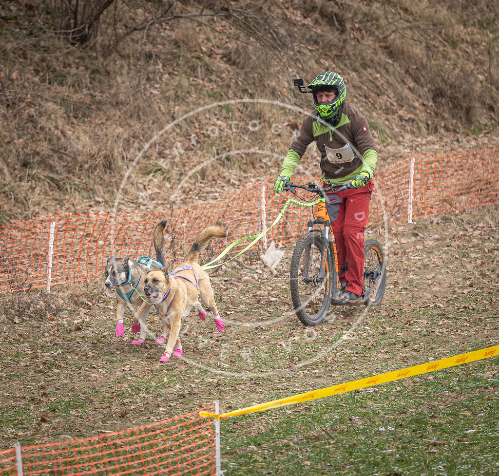 Pfotenfotografie_DV3A6571 | Hundefotografie, Tierfotograf, Pfotenfotografie, Fotoshooting Hund, Hunde Portrait, Hundesport, Hundeportraits, Heideshooting, Hunde, Sportfotograf, Hundefotograf, Turnierhundsport, THS,  - Realisiert mit Pictrs.com