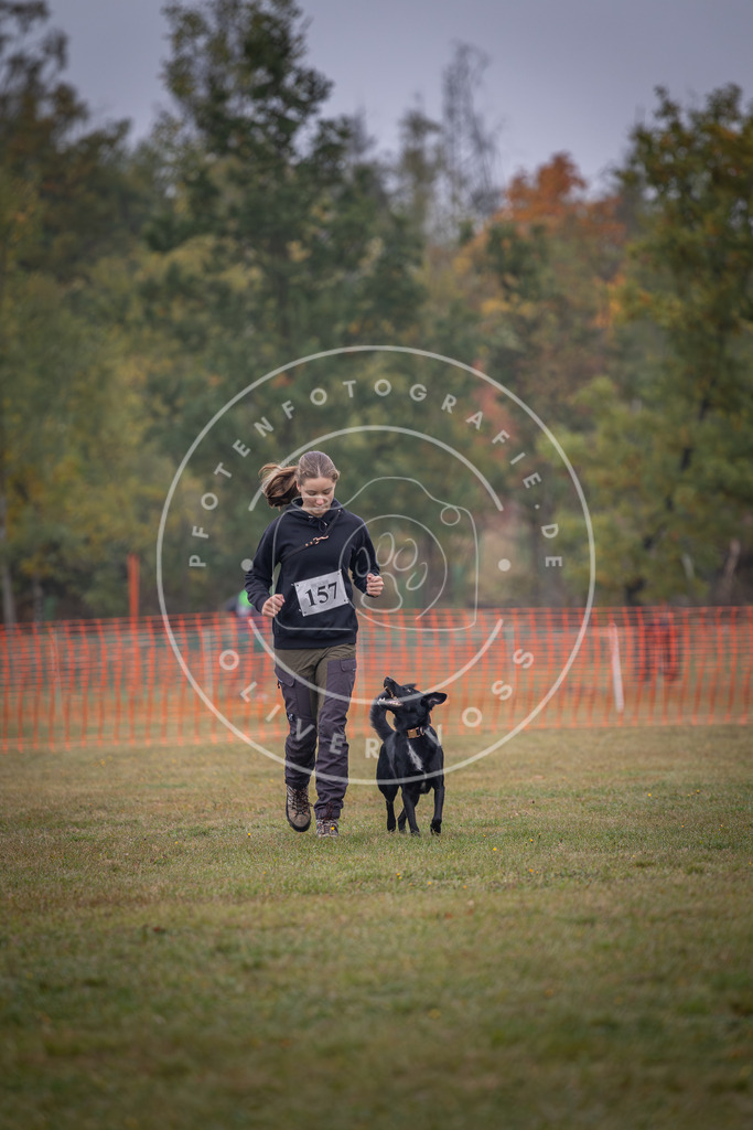 Pfotenfotografie_DV3A8709 | Hundefotografie, Tierfotograf, Pfotenfotografie, Fotoshooting Hund, Hunde Portrait, Hundesport, Hundeportraits, Heideshooting, Hunde, Sportfotograf, Hundefotograf, Turnierhundsport, THS,  - Realisiert mit Pictrs.com