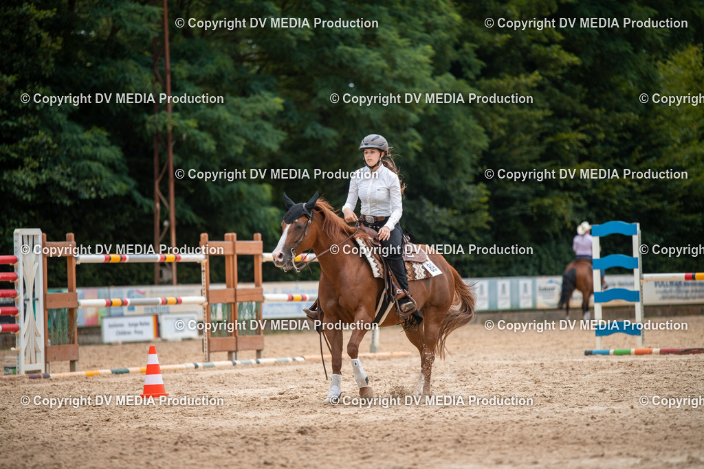 ZS2_8623 | dv-media-shop - Realisiert mit Pictrs.com