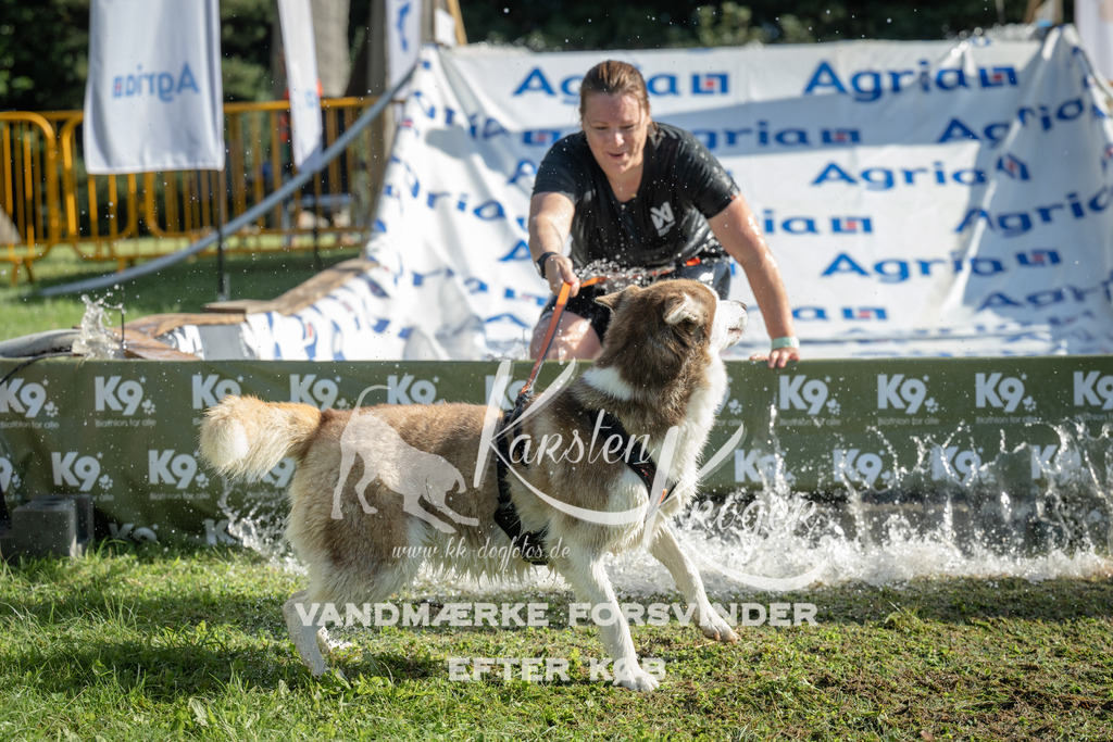 0958_ZZ97528 | kk-dogfotos