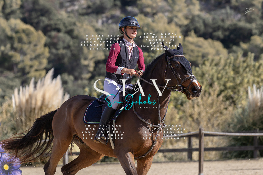 IMG_0345 | s-jay-photography - Realisiert mit Pictrs.com