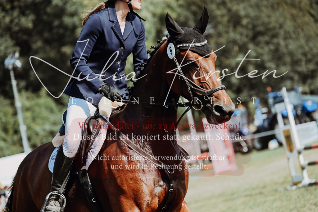 DSC_9386 | Pferde- und Turnierfotografie in Westsachsen. Pferdeportraits, Auftragszeichnungen und intuitive Kunst.