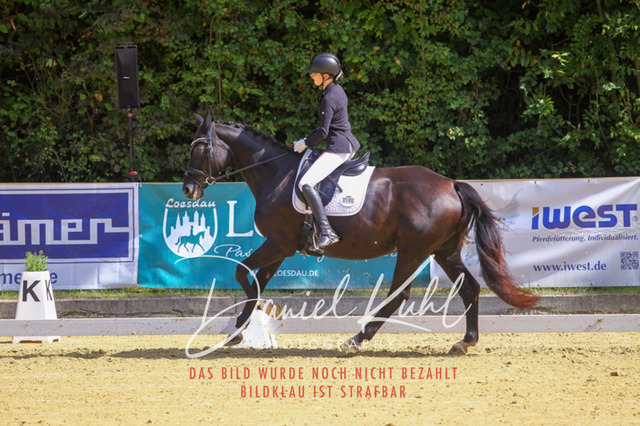 DKP41926 | Turniersportfotografie; Pferdefotografie; Dressurfotografie