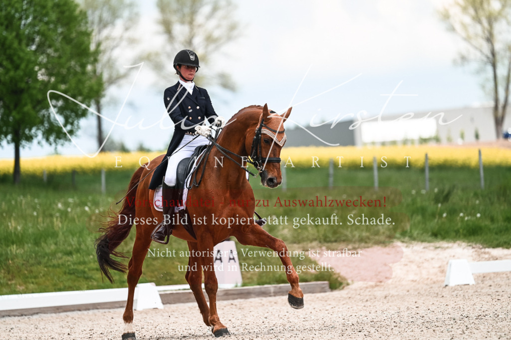 20230514_JK-Röhrsdorf-21-024 | Pferde- und Turnierfotografie in Westsachsen. Pferdeportraits, Auftragszeichnungen und intuitive Kunst.