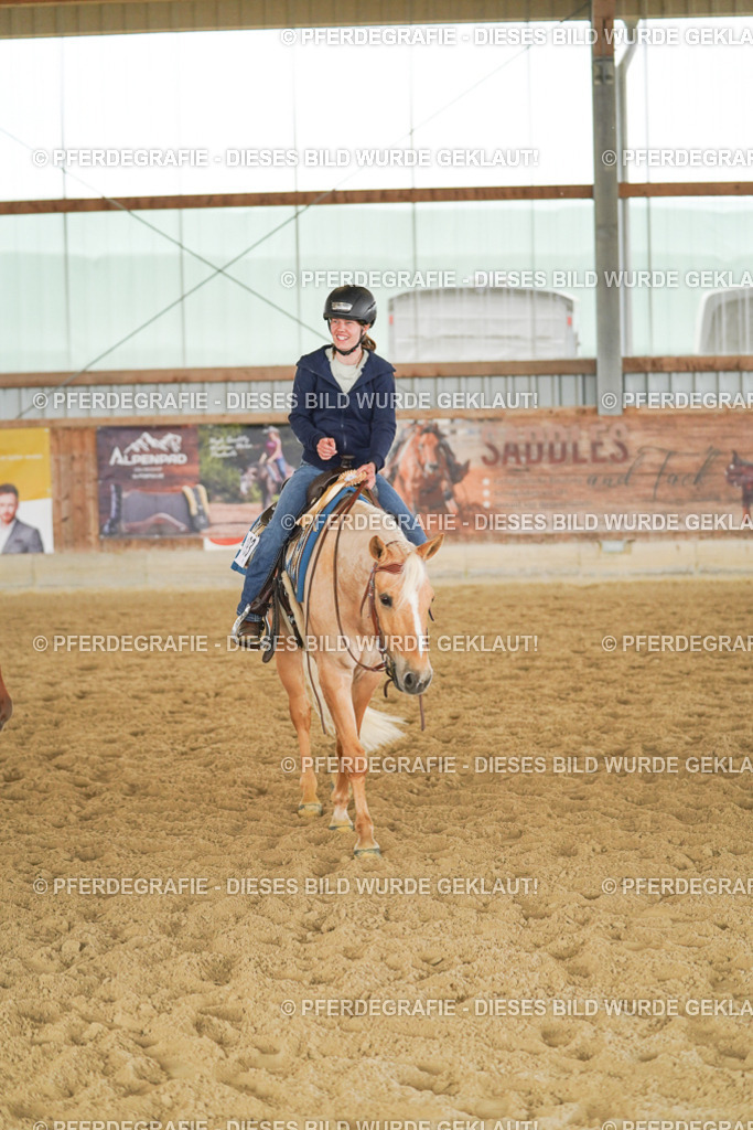 DSC05156 | Pferdegrafie