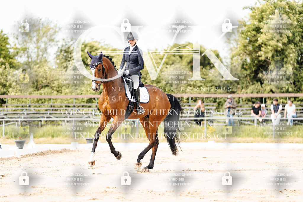CK900697 | Turnierfotografie Pferdefotografie Trier Rheinland-Pfalz Pferdesport Reitsport Tierfotografie Sportfotografie Pferdevideo Pferdevideografie Equestrianvideography equestrianphotography  - Realisiert mit Pictrs.com
