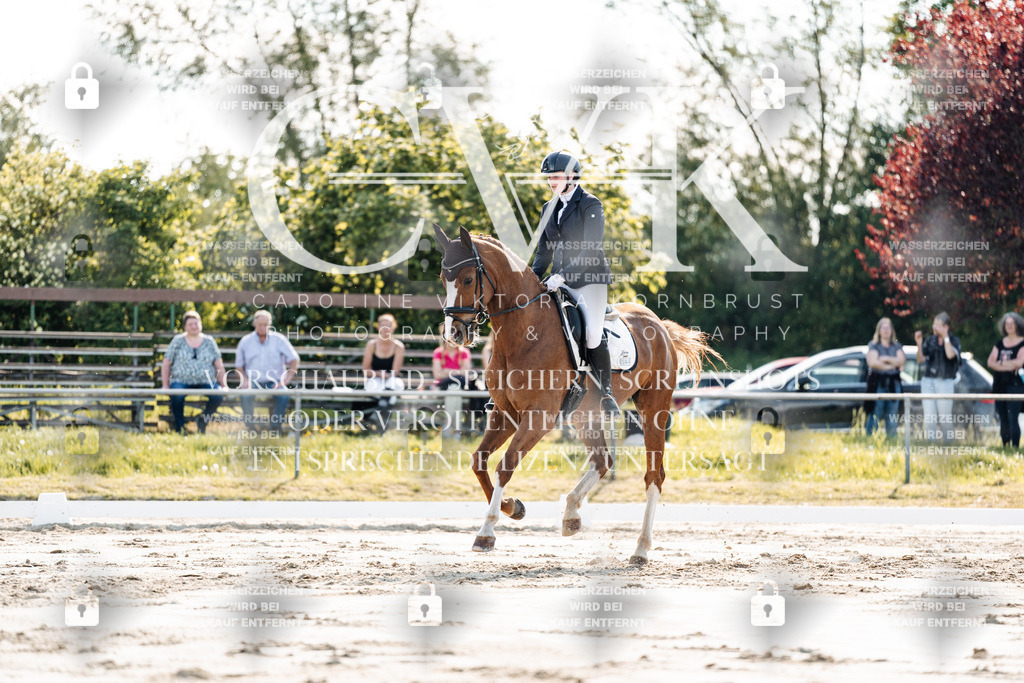 CK909341 | Turnierfotografie Pferdefotografie Trier Rheinland-Pfalz Pferdesport Reitsport Tierfotografie Sportfotografie Pferdevideo Pferdevideografie Equestrianvideography equestrianphotography  - Realisiert mit Pictrs.com
