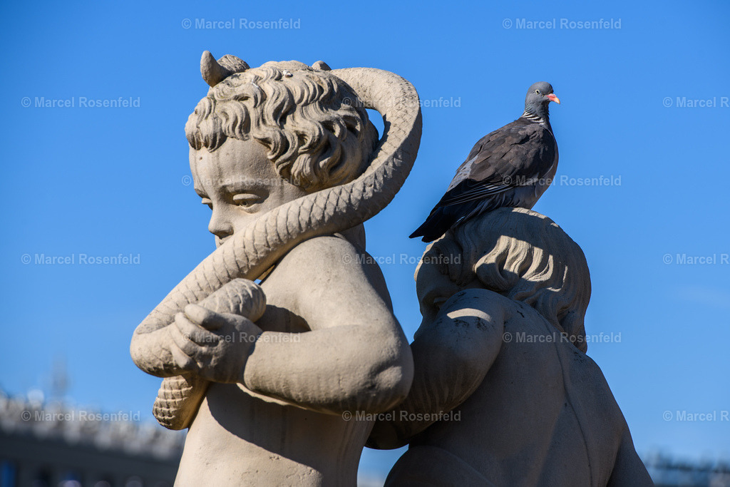 _DSC1600 | foto-rosenfeld