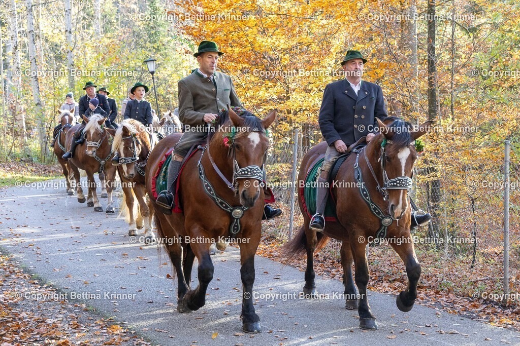 LL24-296 | foto-bettina-krinner - Realisiert mit Pictrs.com
