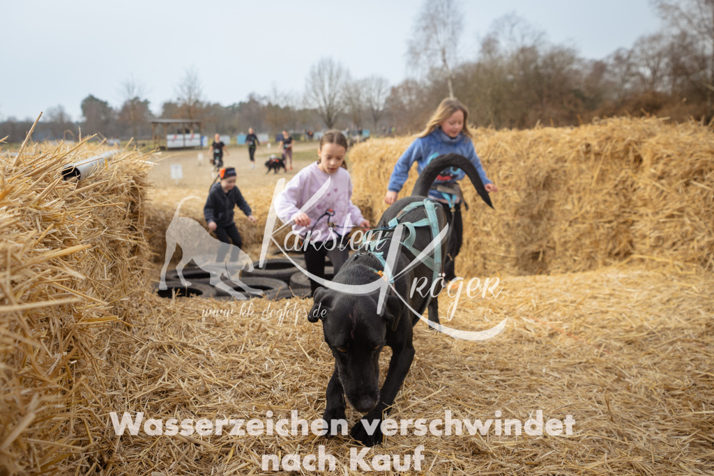 1052_ZZ90582 | kk-dogfotos