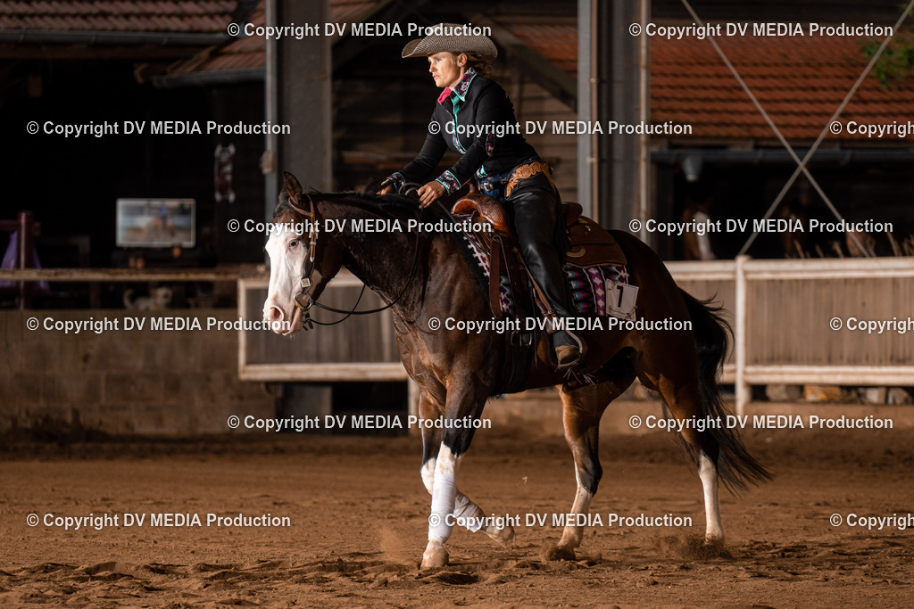 Erbach Tag 3-895 | dv-media-shop - Realisiert mit Pictrs.com