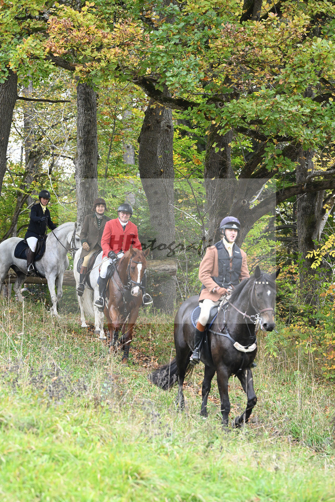 5622819 | hf-fotografie - Realisiert mit Pictrs.com