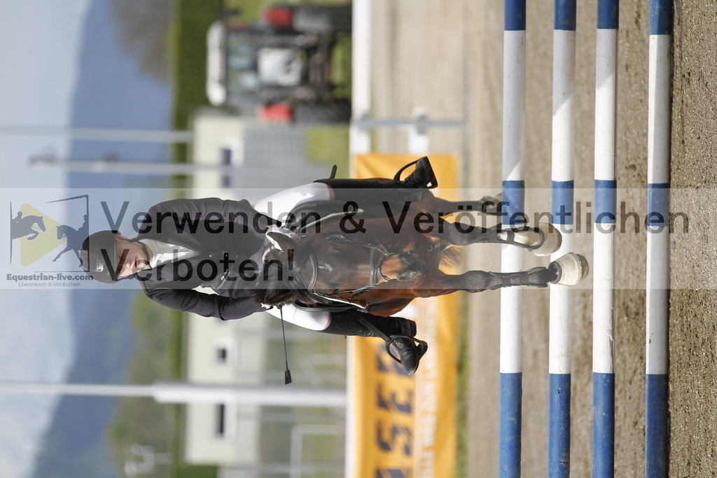 _MG_1210 | equestrian-live-com