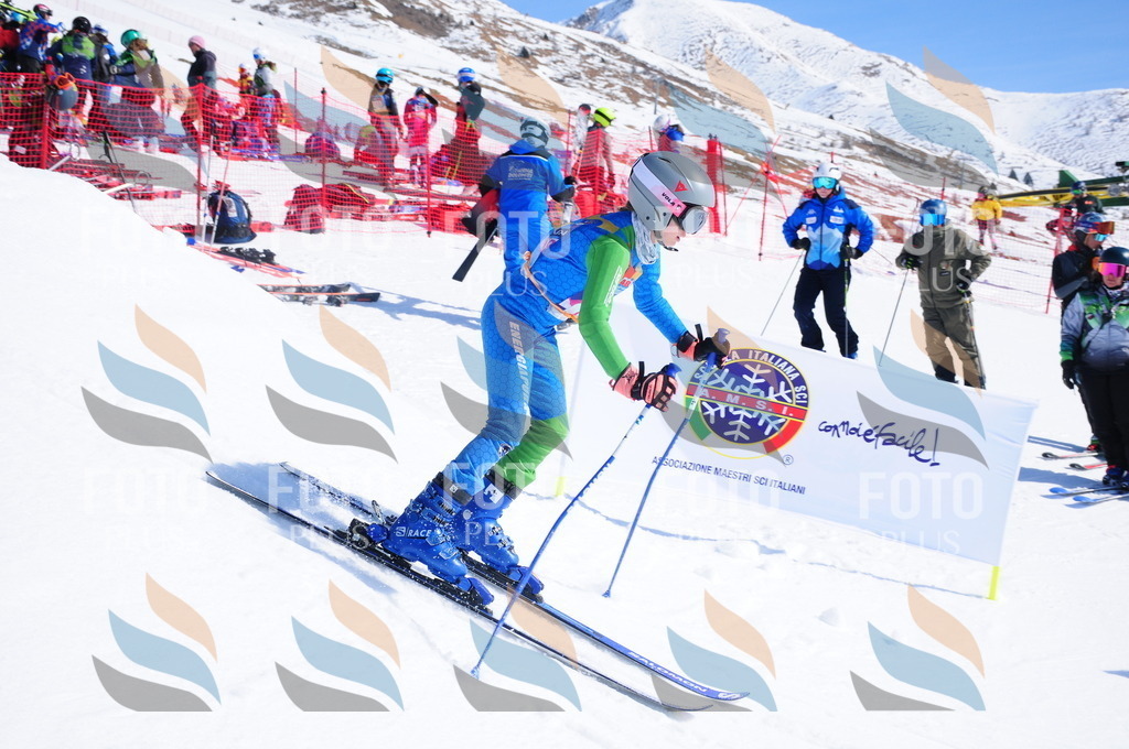 DSC_4518 | holidayphoto