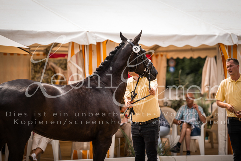 4.Fr00192 | Leoni Ertmer Photography - Realisiert mit Pictrs.com