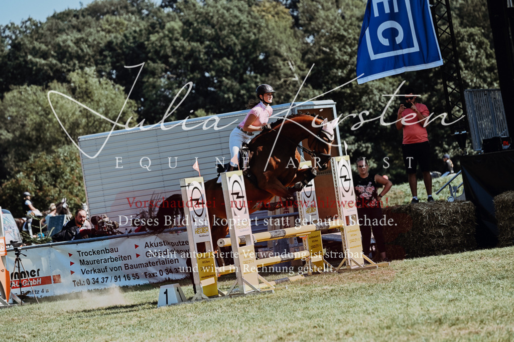 DSC_6542 | Pferde- und Turnierfotografie in Westsachsen. Pferdeportraits, Auftragszeichnungen und intuitive Kunst.