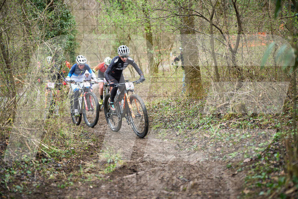 34. KTM Kamptal Trophy  | ZÖBING, Österreich – 2026-03-29: 34. KTM Kamptal TrophyFoto: © 2026 Martin Bihounek - MB Creative e.U.