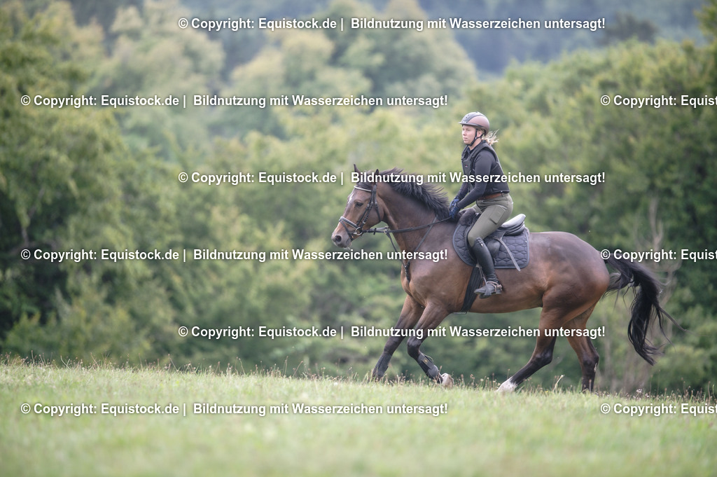 20250726_Vielseitigkeitslehrgang-Marbach_0650 | Foto: Thomas Hartig