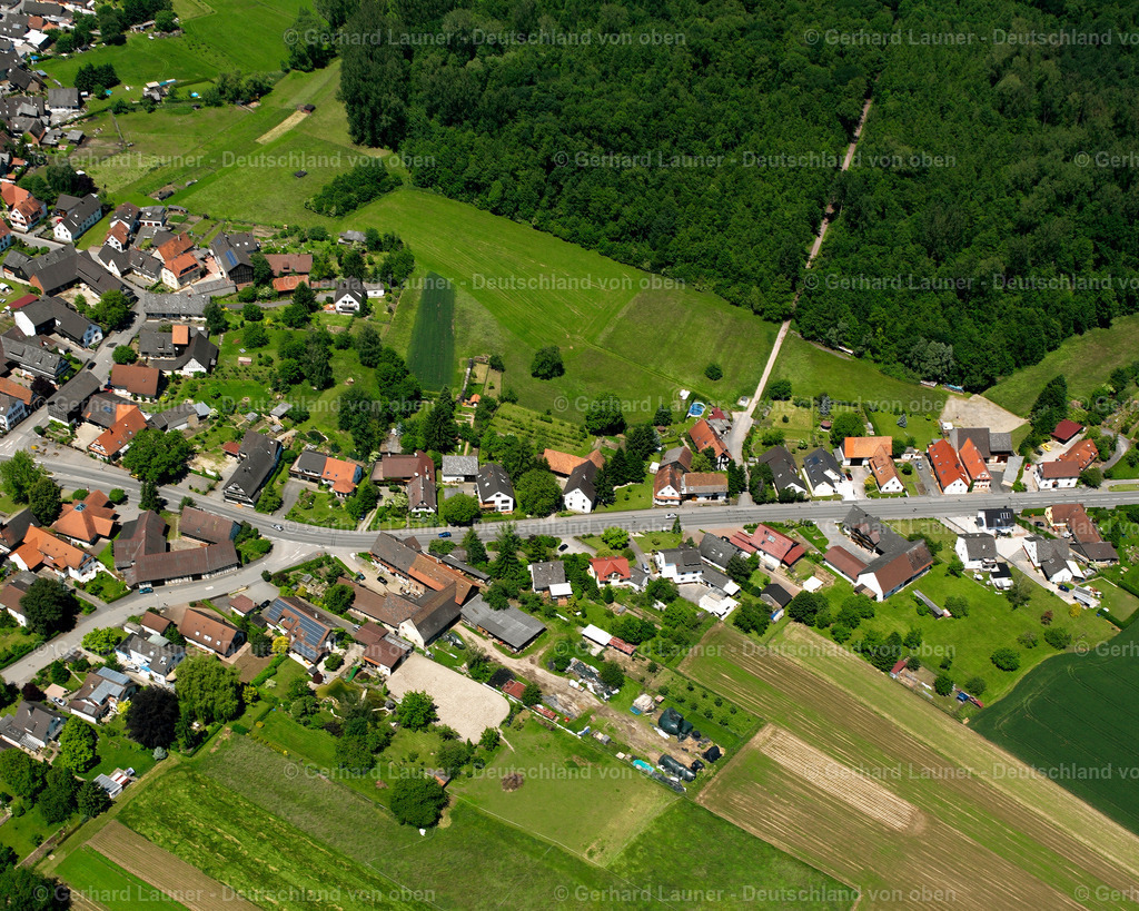 2626229 | BODERSWEIER 09.06.2006 Landwirtschaftliche Nutzflächen und Feldgrenzen  umsäumen das Siedlungsgebiet des Dorfes in Bodersweier im Bundesland Baden-Württemberg, Deutschland // Agricultural land and field boundaries surround the settlement area of the village  in Bodersweier in the state Baden-Wuerttemberg, Germany Foto: Gerhard Launer
