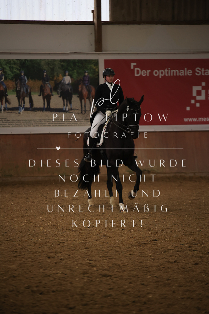 IMGT5894 | pl-fotografie