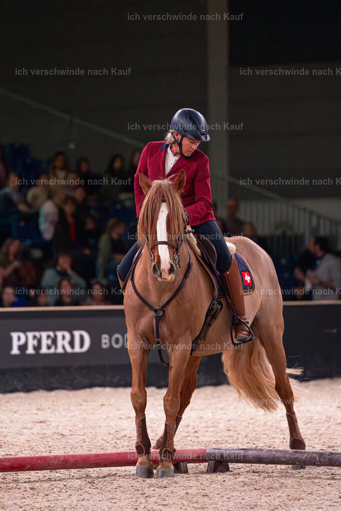 JoseraCup-72 | working equitationturnier fotograf videograf stoibphotography marixx film working equitation deutschland reitsport turnierfotografie eventfotografie equestrian events