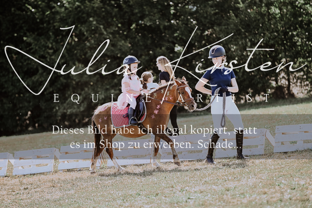 DSC_9038 | Pferde- und Turnierfotografie in Westsachsen. Pferdeportraits, Auftragszeichnungen und intuitive Kunst.