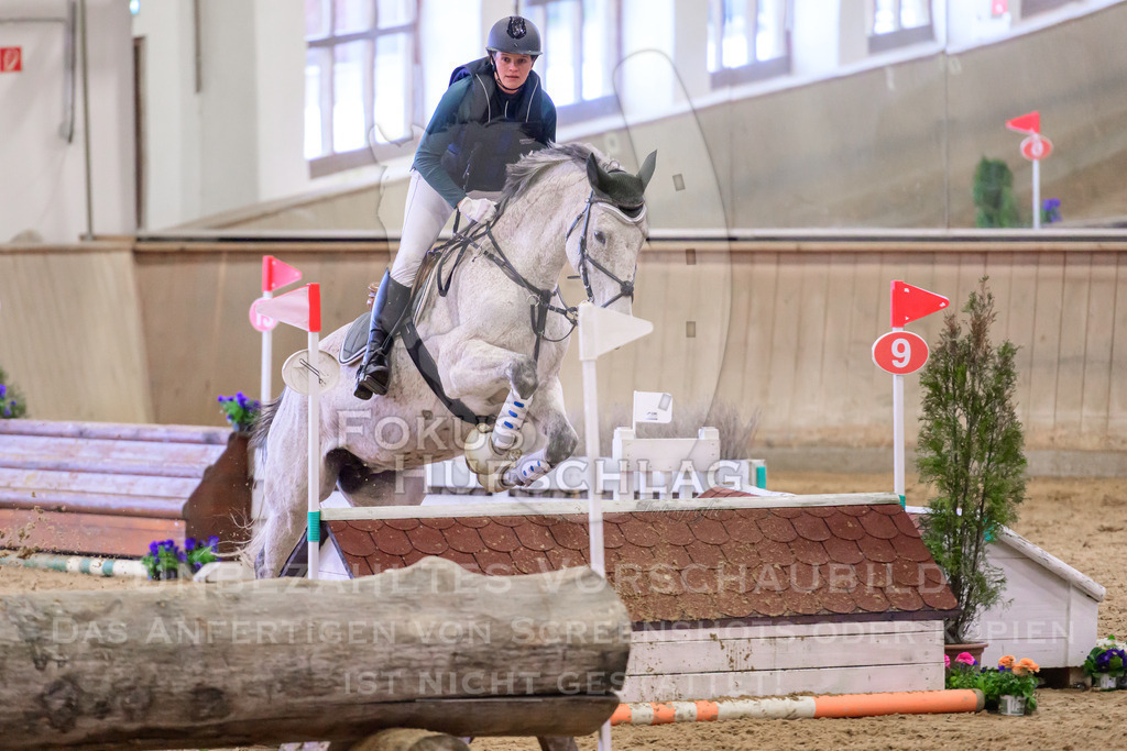 29032026-Schwaiganger-Prfg03-1-0254 | Fokus Hufschlag Fotografie - Realisiert mit Pictrs.com