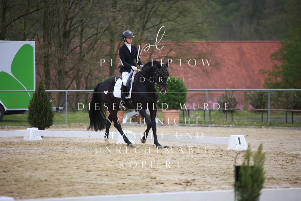 IMGT5951 | pl-fotografie