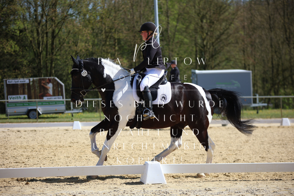 IMGT2204 | pl-fotografie