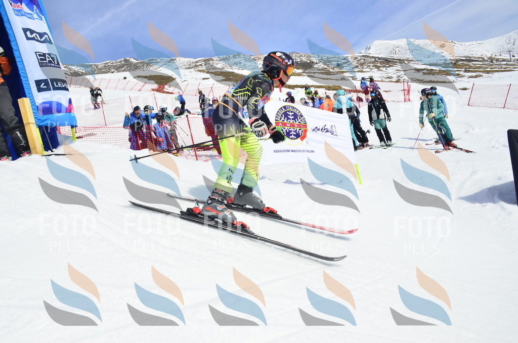 _ELE1854 | holidayphoto