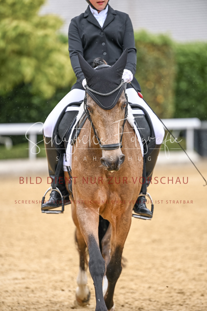 Schugtsche-Aluta25-41.Amat-Dressurprf.A_-526 | Schugtsche Fotografie - Realisiert mit Pictrs.com