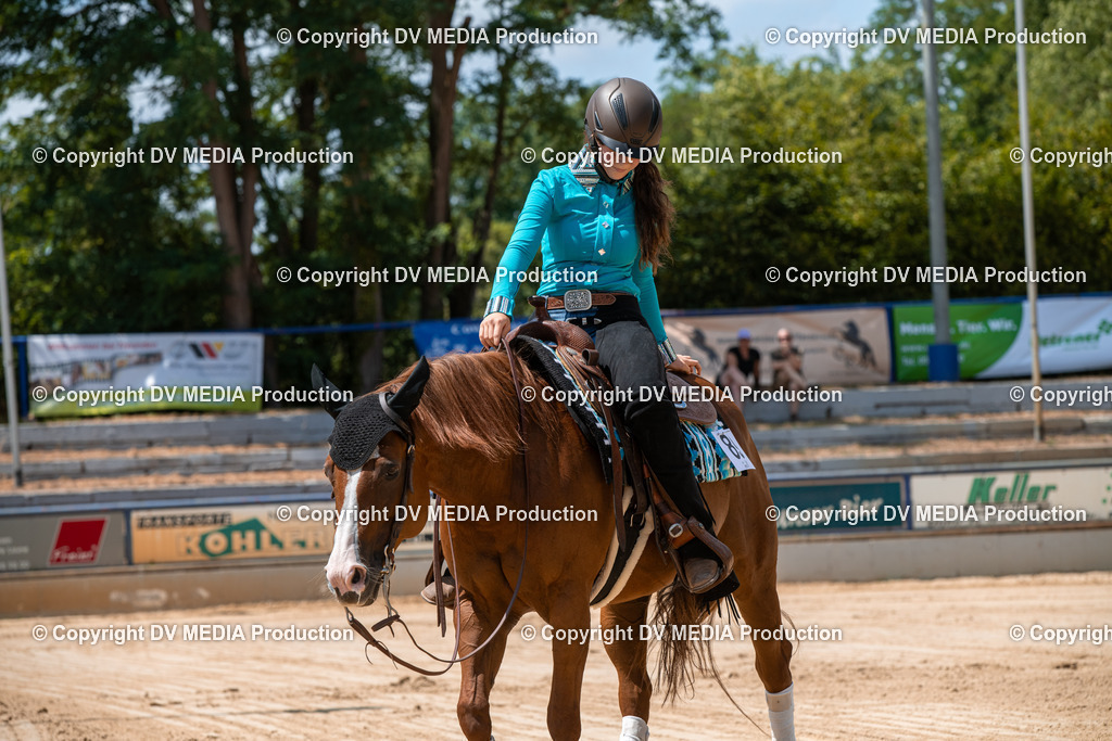 ZS3_9762 | dv-media-shop - Realisiert mit Pictrs.com