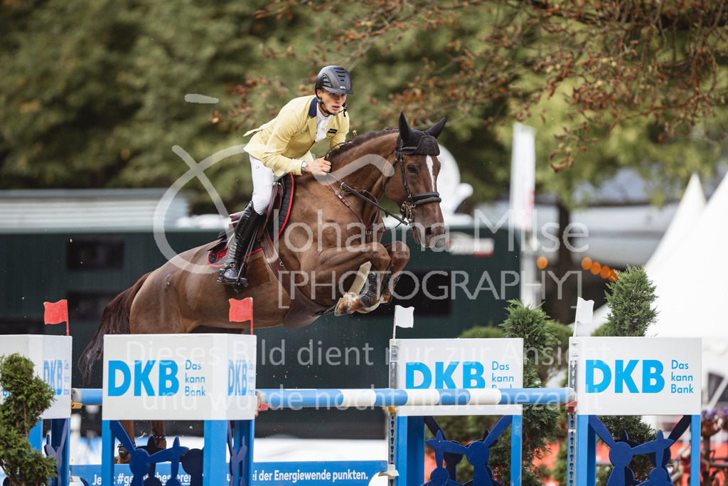 240915_OWLCh_Championat-701 | Deine schönsten Turniermomente als professionelle Fotos! Entdecke hochwertige Pferdesport-Fotografie im Online-Shop. Jetzt Fotos finden & bestellen!