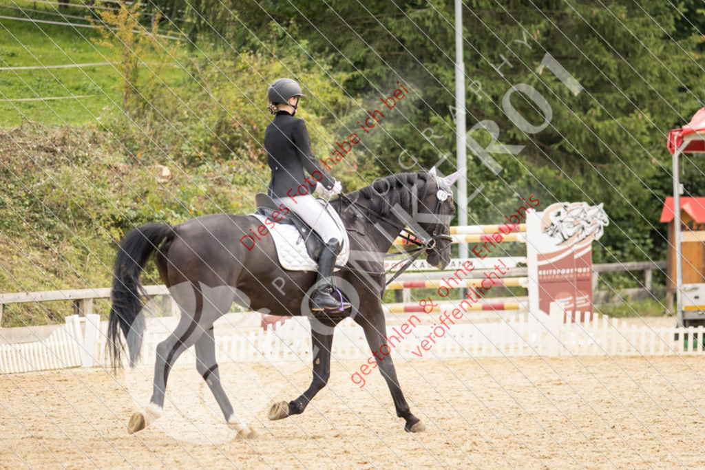 CON_0447 | Sport-, Event- und Tierfotos in Profiqualität. Einfach auswählen, bestellen und herunterladen. Dein Moment – perfekt festgehalten.