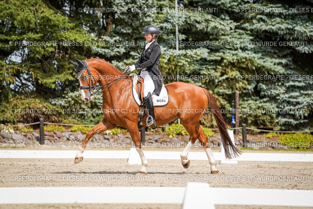 DSC06425 | Pferdegrafie