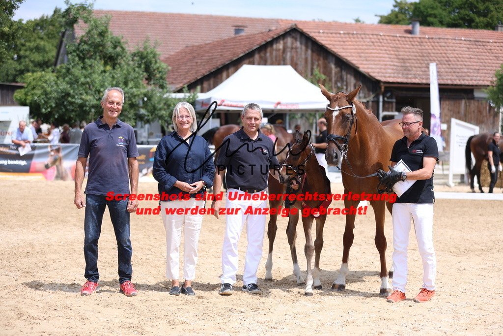 Fohlenschau_Schwäbisch_Hall_dressurbetonte_Fohlen_RESERVE SIEGER_KN 15_7 | lmwpictures - Realisiert mit Pictrs.com