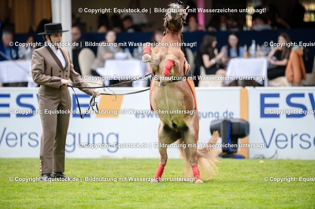 20250606_Lange-Pferdenacht_0644 | Foto: Thomas Hartig