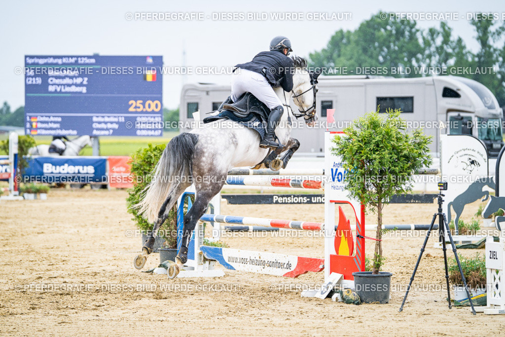 DSC08404 | Pferdegrafie