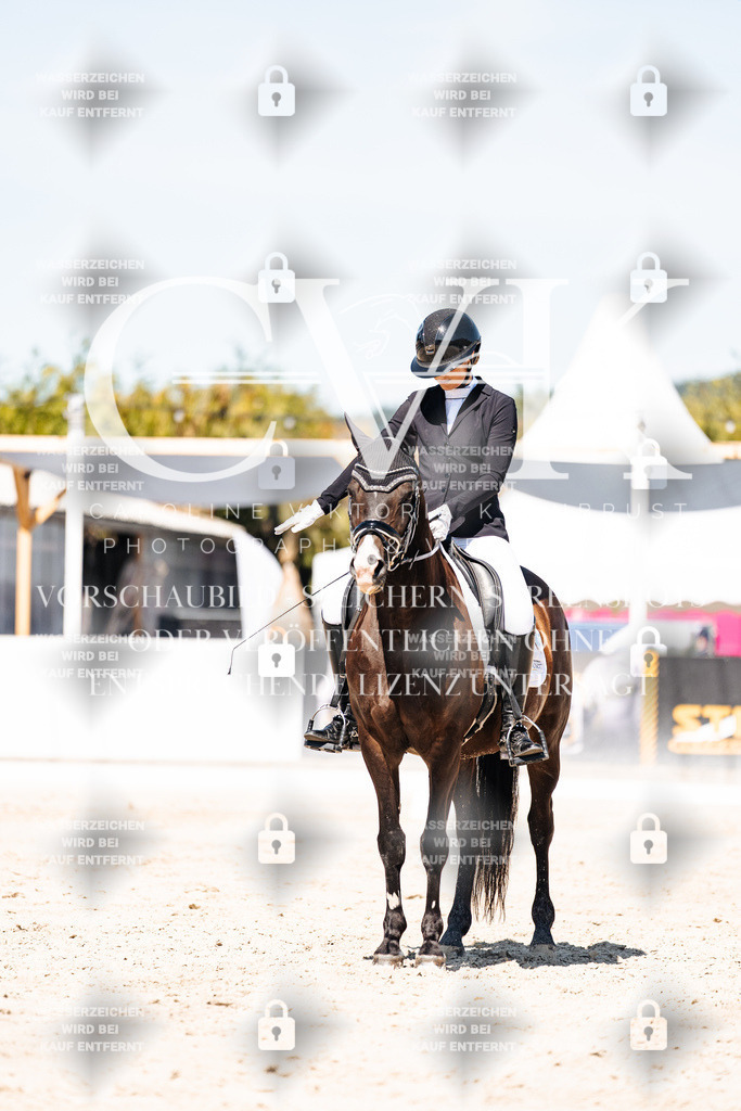 CK909588 | Turnierfotografie Pferdefotografie Trier Rheinland-Pfalz Pferdesport Reitsport Tierfotografie Sportfotografie Pferdevideo Pferdevideografie Equestrianvideography equestrianphotography  - Realisiert mit Pictrs.com