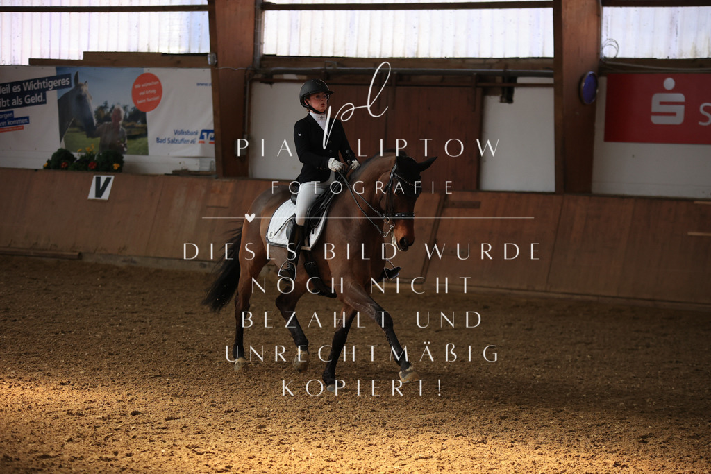 IMGT2931 | pl-fotografie