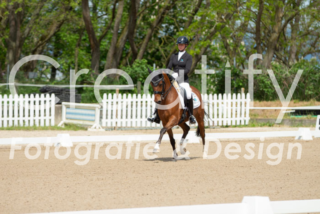 IMG_5566 | Creatify Fotografie