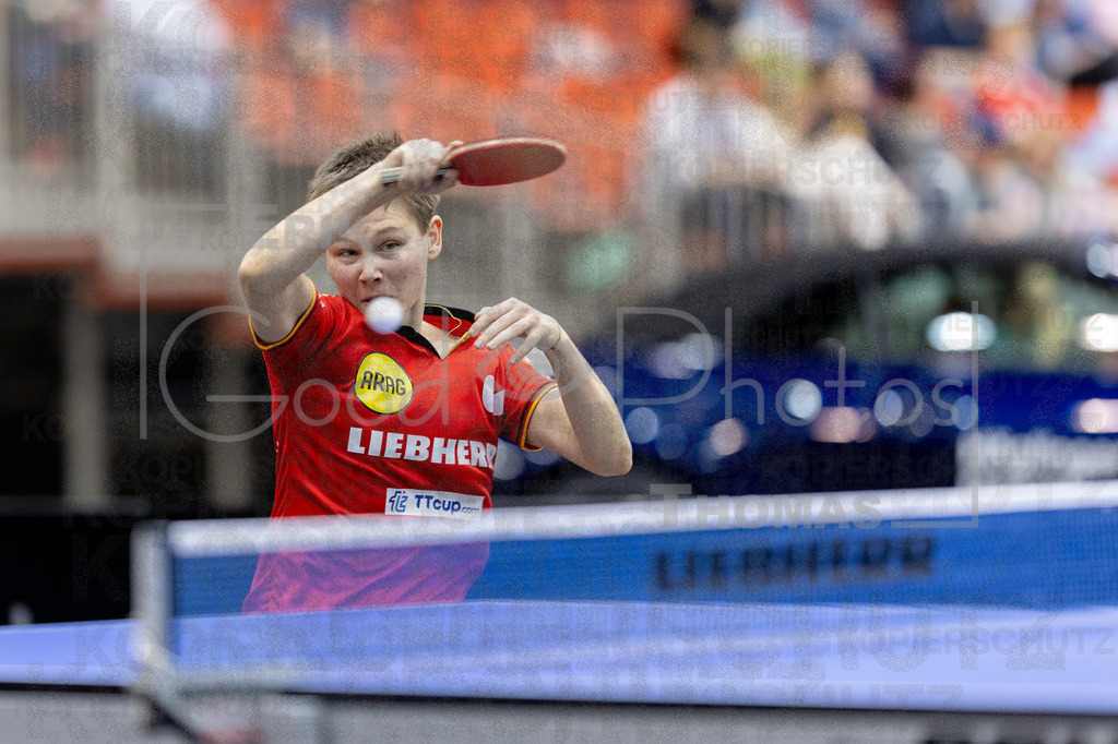 European_Championships_2024-10-18_213 | good-photos - Realizado com Pictrs.com