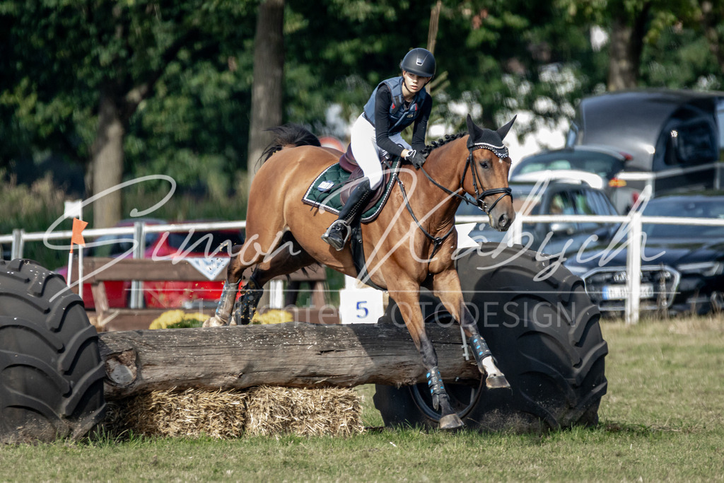 20250907-_3LR7847 | Tierfotografie Pferde, Hunde, Katzen, Haustiere.
Turnierfotografie Reitturniere, Reiten, Springreiten, Dressur in Hanau, dem Main-Kinzig-Kreis und dem Rhein-Main- Gebiet um Frankfurt