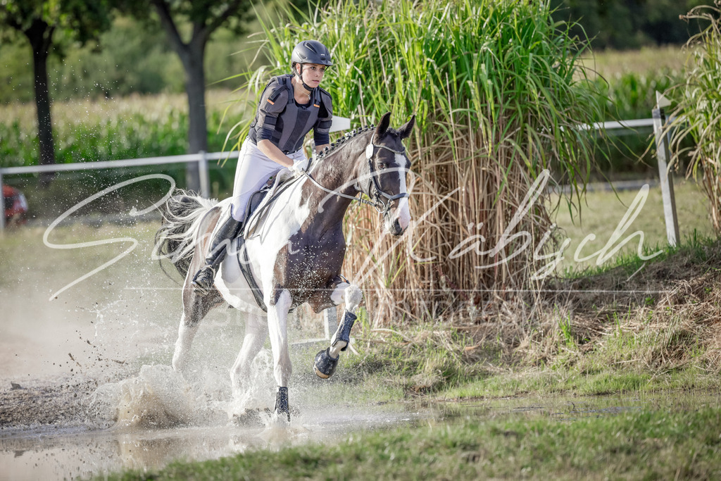 20250906-_3LI7616 | Tierfotografie Pferde, Hunde, Katzen, Haustiere.
Turnierfotografie Reitturniere, Reiten, Springreiten, Dressur in Hanau, dem Main-Kinzig-Kreis und dem Rhein-Main- Gebiet um Frankfurt