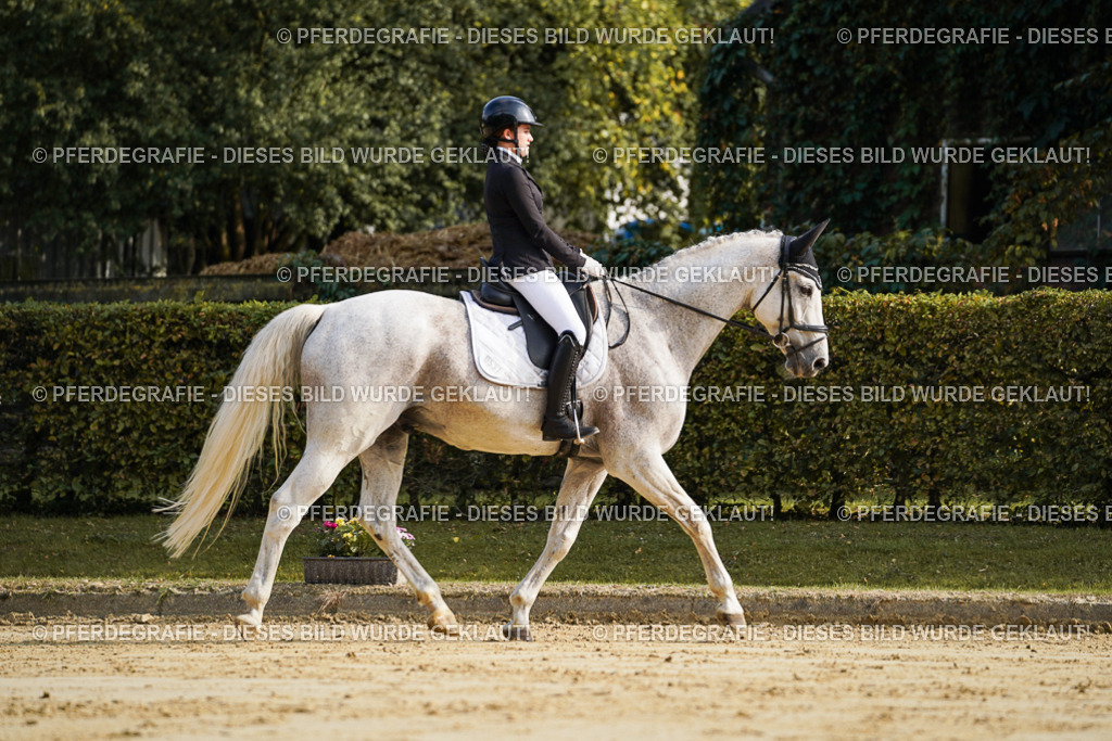 DSC05648 | Pferdegrafie