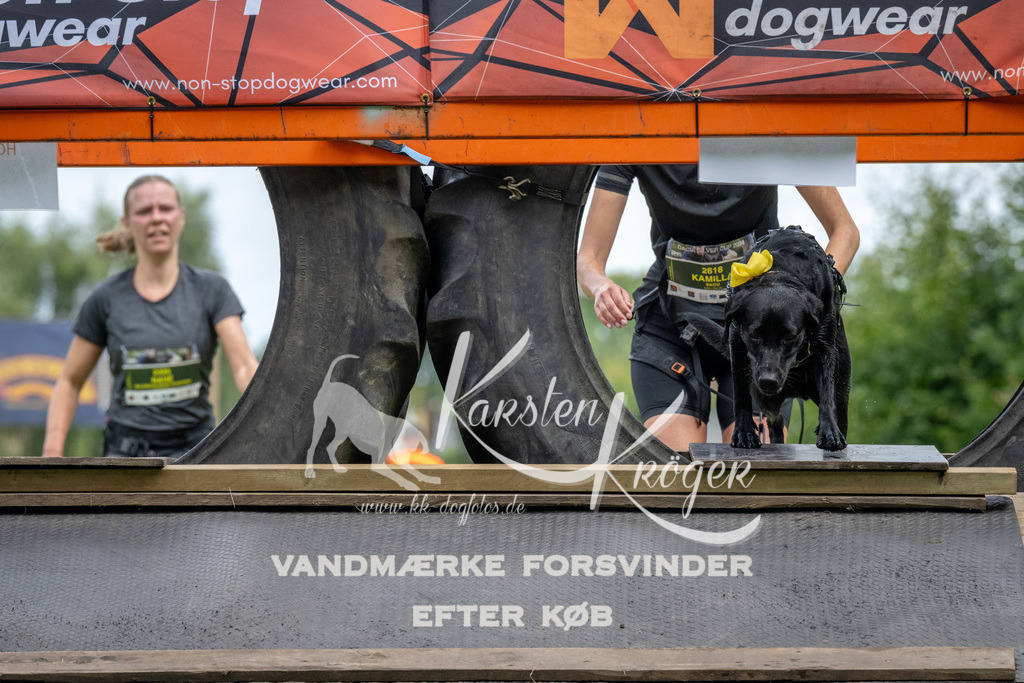 1151_ZZ93071 | kk-dogfotos