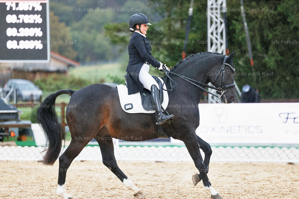 8_2-183-DRESSUR S_  -StoibPH-4560 | working equitationturnier fotograf videograf stoibphotography marixx film working equitation deutschland reitsport turnierfotografie eventfotografie equestrian events