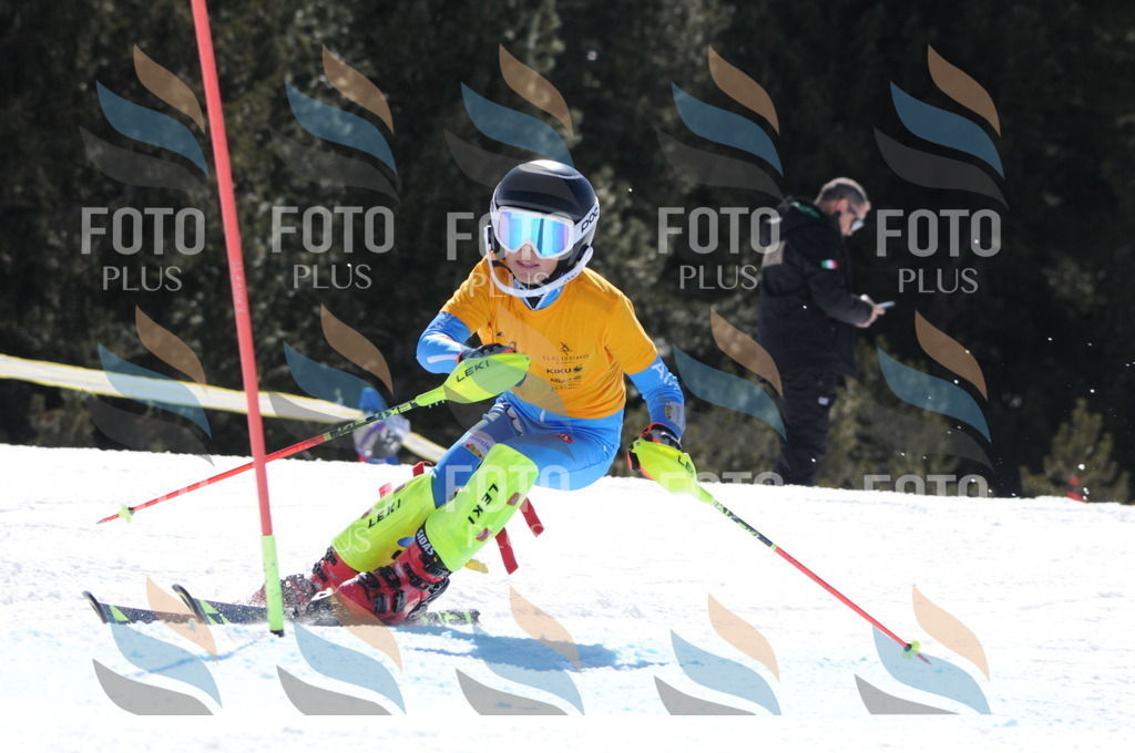 C9345 | holidayphoto