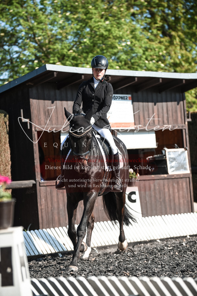 DSC_8337 | Pferde- und Turnierfotografie in Westsachsen. Pferdeportraits, Auftragszeichnungen und intuitive Kunst.