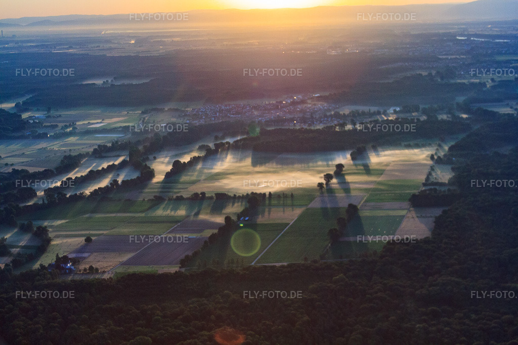 Luftbild: Morgennebel über den Feldern zwischen Speyerbach und Kropsbach in Harthausen im Bundesland Rheinland-Pfalz in Deutschland. Foto: IMG_69332.jpg vom 04.07.2014 durch Werner Riehm/FLY-FOTO.de